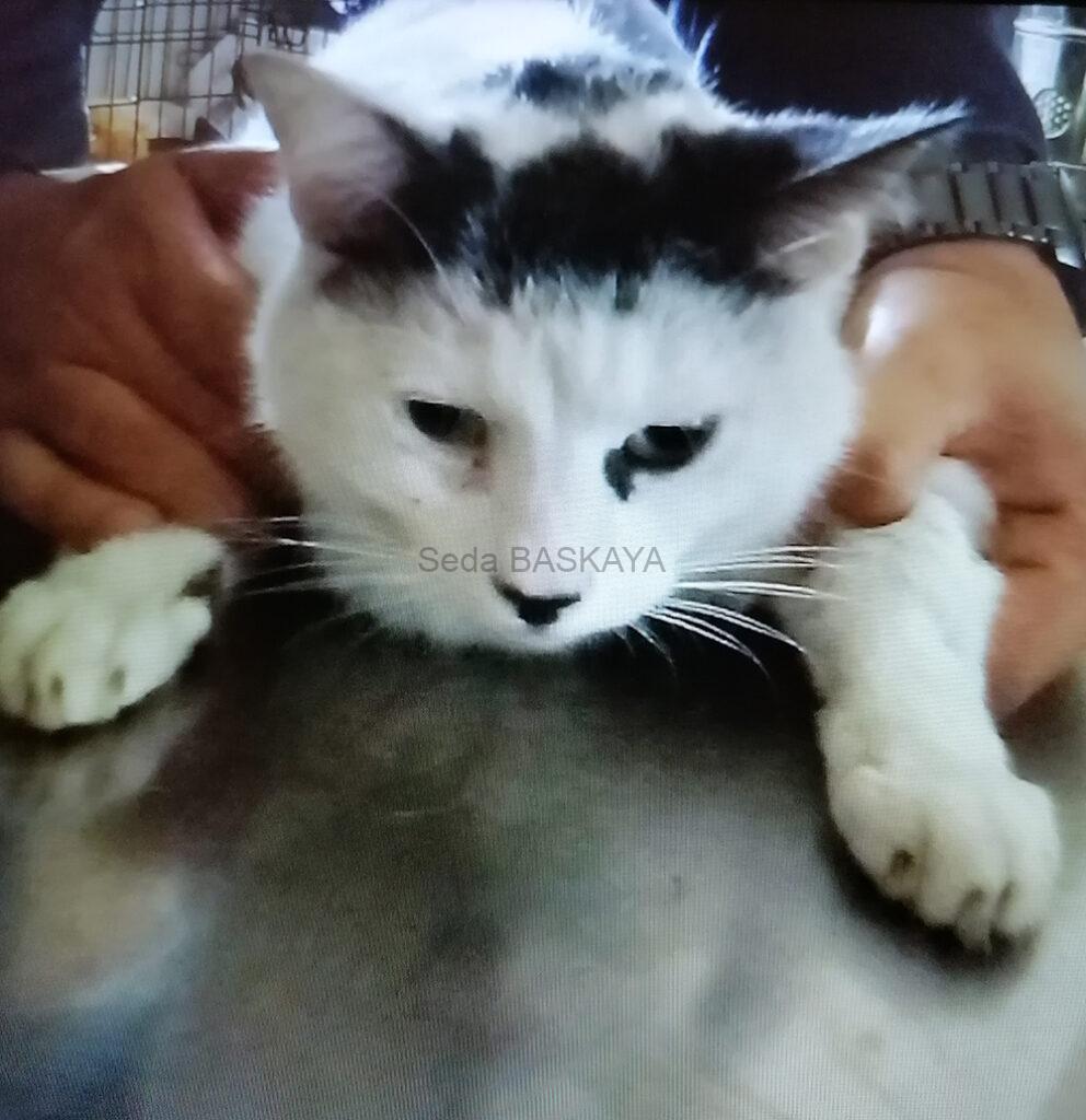 The Most Interesting Case I Have Ever Seen